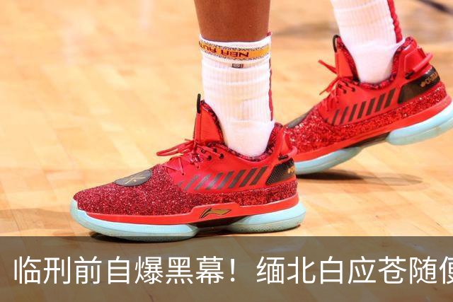 临刑前自爆黑幕！缅北白应苍随便圈钱十几亿，奢靡生活超乎想象