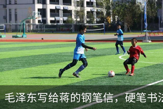 毛泽东写给蒋的钢笔信，硬笔书法天花板！